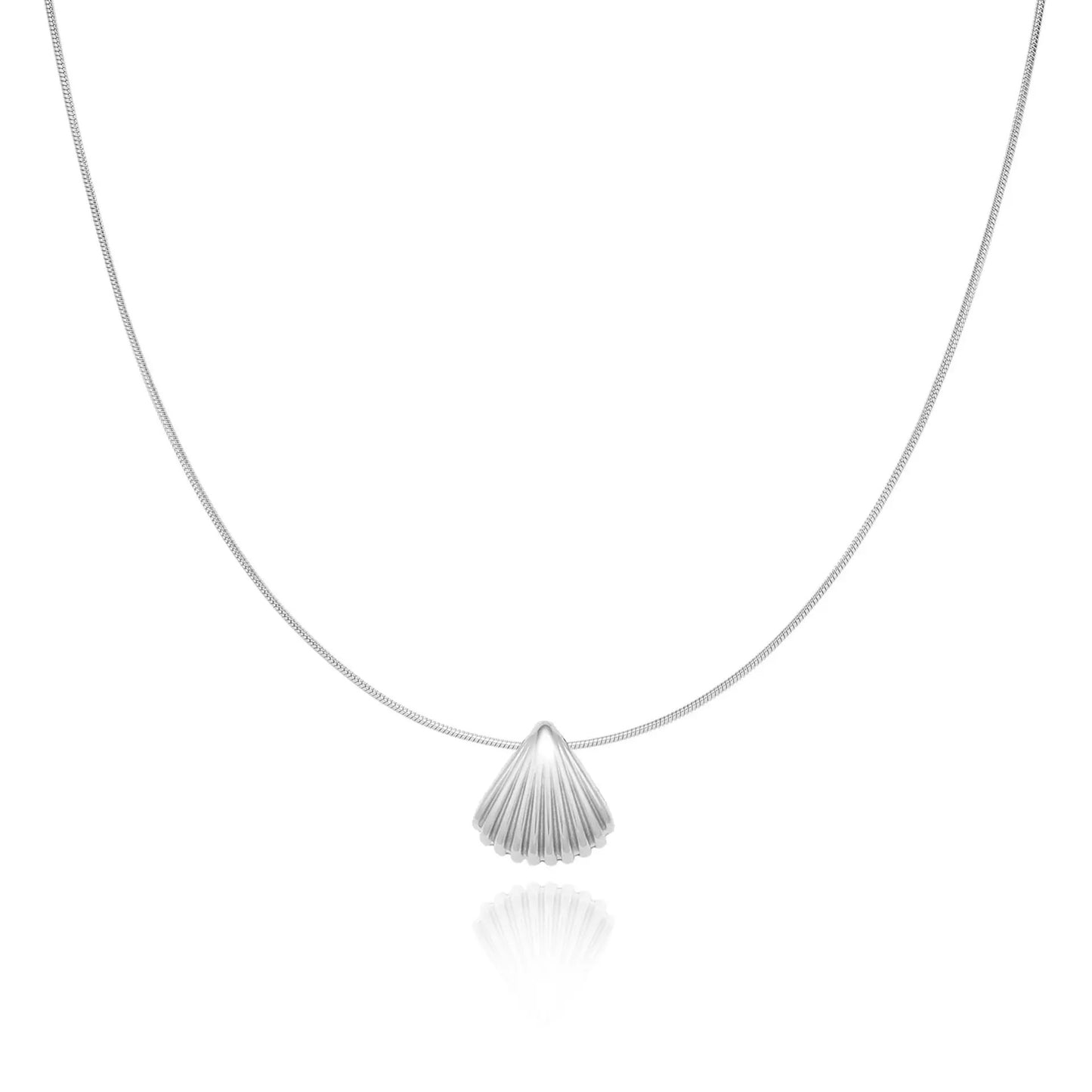 Scallop Shell Necklace